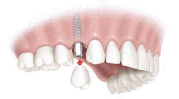 odontologia